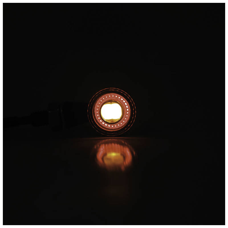 206090BS-2_254-171_Blinker-LED-HIGHSIDER