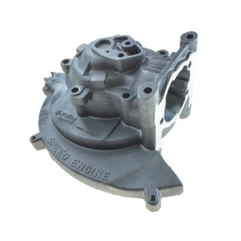 010201-1_PoliniSpeedEinine