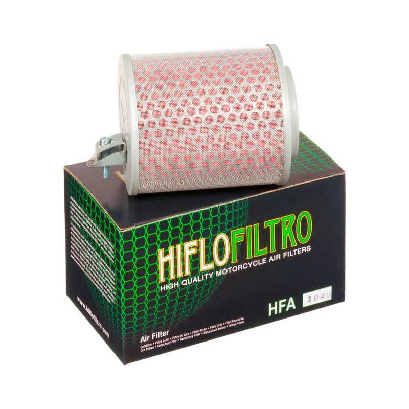 603858_HFA1920
