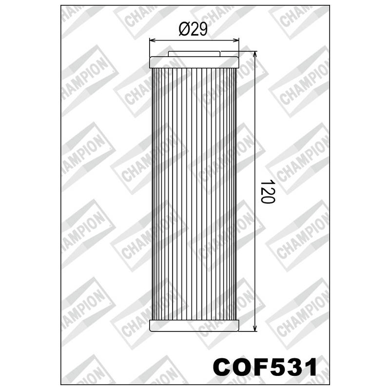 604594-1_COF531