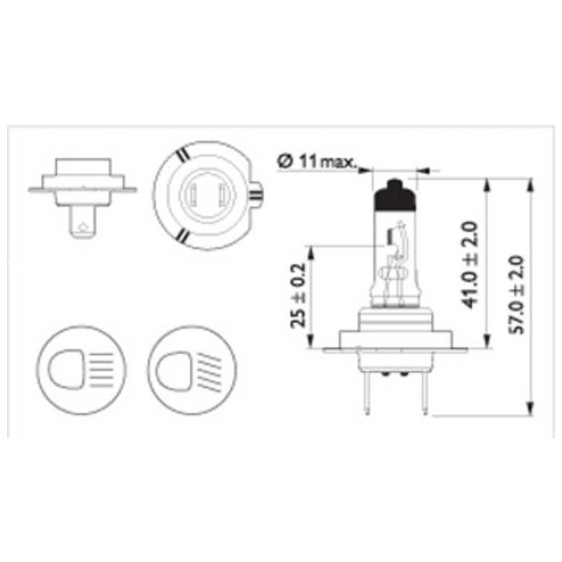 585460_2