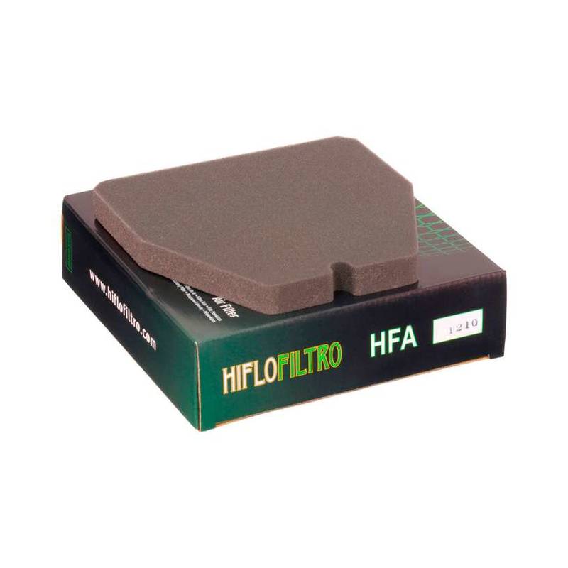 603818_HFA1210