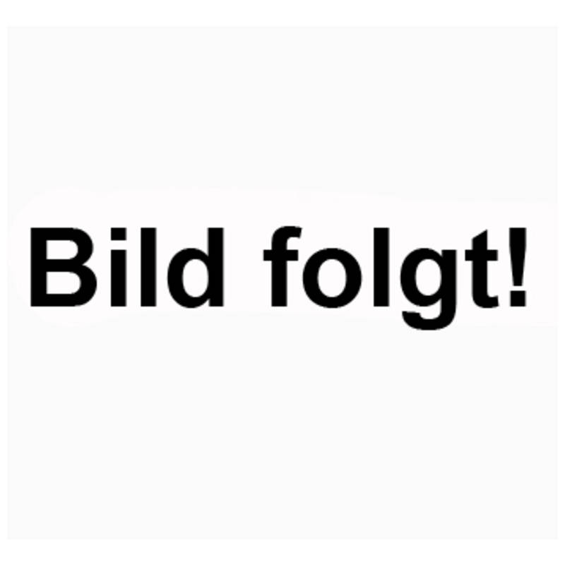 Bild-folgt